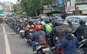 Transfer from Bali Airport to Canggu