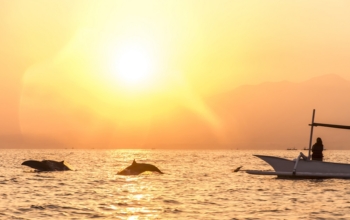 Transfer From Uluwatu To Lovina Beach