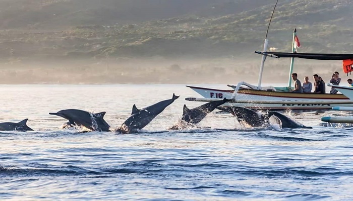 Taxi From Canggu to Lovina Beach