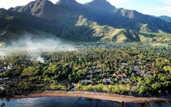 Taxi From Denpasar Airport to Pemuteran