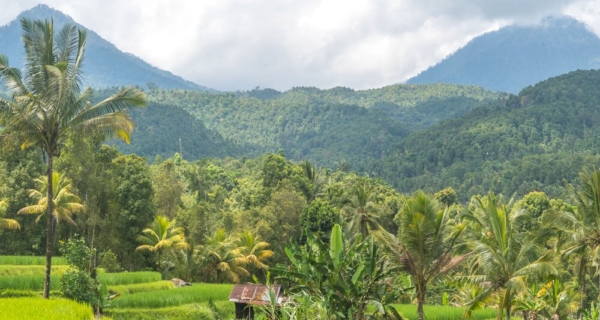 Taxi From Canggu To Munduk