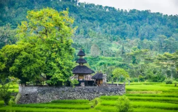 Taxi From Lovina To Sidemen