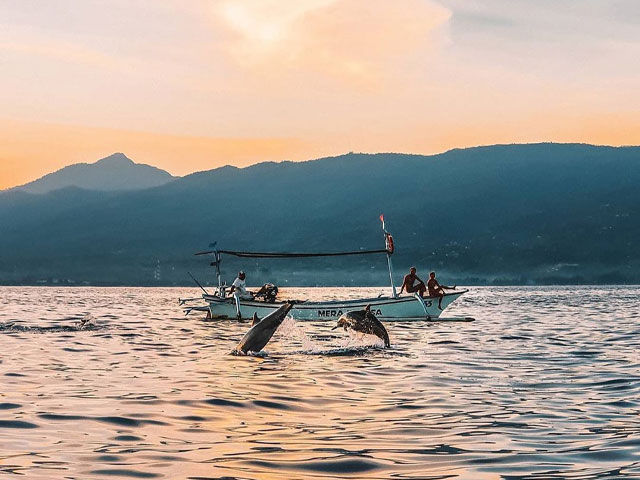 Taxi From Sanur to Lovina